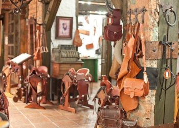 CONTINÚA ICATEBCS INNOVANDOOFERTA EDUCATIVA 2024