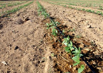 SE INAUGURA “BIBLIOTECA PERSONAL ARMANDO TRASVIÑA TAYLOR”