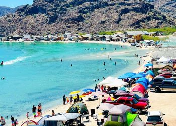 IMPORTANTE QUE VACACIONISTAS SIGAN MEDIDAS PARA EVITAR MORDEDURAS DE SERPIENTES O PICADURAS DE ARAÑAS