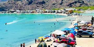 IMPORTANTE QUE VACACIONISTAS SIGAN MEDIDAS PARA EVITAR MORDEDURAS DE SERPIENTES O PICADURAS DE ARAÑAS