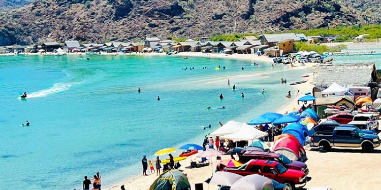 IMPORTANTE QUE VACACIONISTAS SIGAN MEDIDAS PARA EVITAR MORDEDURAS DE SERPIENTES O PICADURAS DE ARAÑAS