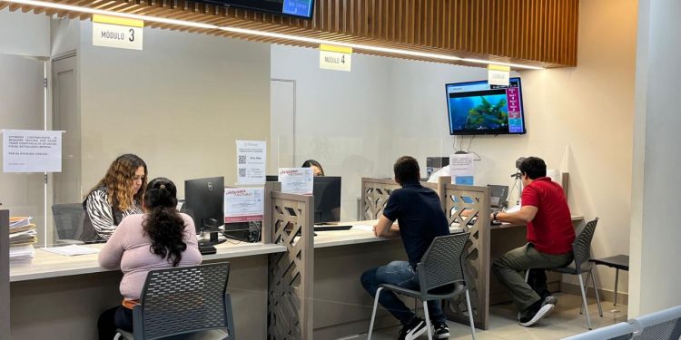 CONTINÚAN MUESTREOS EN SEGUIMIENTO  EPIDEMIOLÓGICO DE MELIOIDOSIS