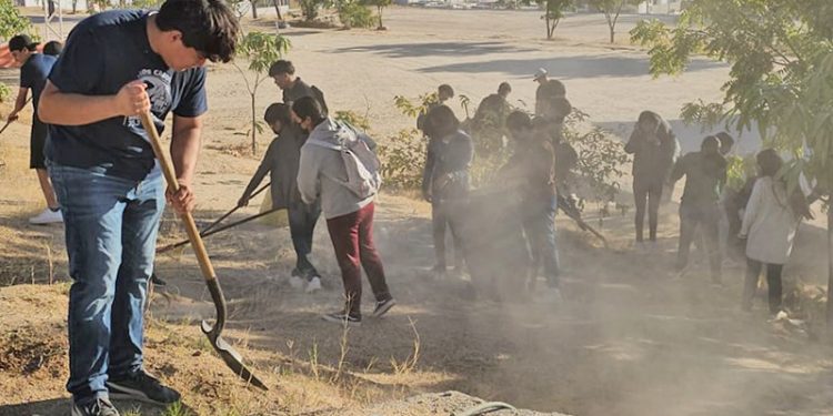 DESARROLLA JURISDICCIÓN SANITARIA LOS CABOS JORNADAS DE DESCACHARRIZACIÓN PARA PREVENIR EL DENGUE