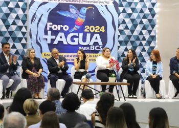 PLAYAS DE BCS EN CONDICIONES ÓPTIMAS PARA USO RECREATIVO