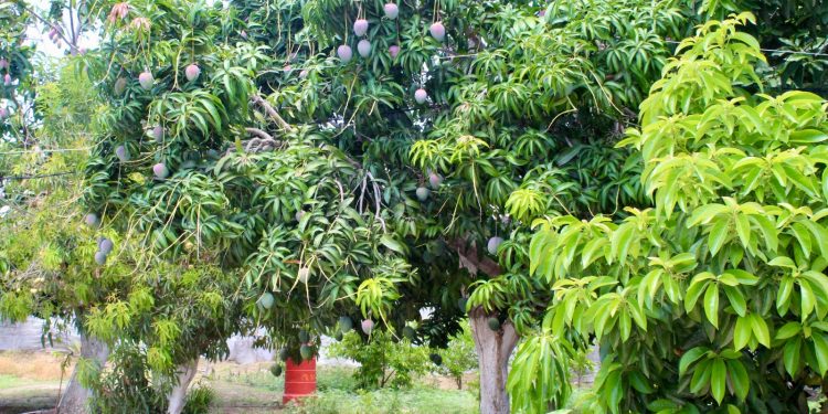 CAPACITAN A SERVIDORES PÚBLICOS EN MATERIA DE PREVENCIÓN DE RIESGOS Y PRIMEROS AUXILIOS