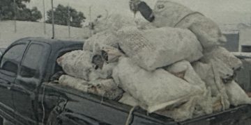 POR DELITO CONTRA LA GESTIÓN AMBIENTAL, FGR OBTIENE VINCULACIÓN A PROCESO CONTRA DOS PERSONAS EN BCS