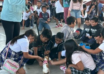 PROGRAMA DE PROTECCIÓN ANIMAL DE LOS CABOS CONTINÚA CON PLÁTICAS DE CONCIENTIZACION EN INSTITUCIONES EDUCATIVAS