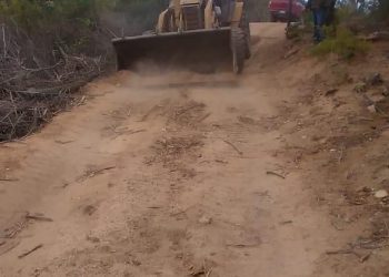 SERVICIOS PÚBLICOS DE LOS CABOS LLEVA ACCIONES DE LIMPIEZA EN CAMINOS VECINALES DE LA ZONA RURAL DEL MUNICIPIO