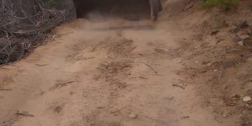 SERVICIOS PÚBLICOS DE LOS CABOS LLEVA ACCIONES DE LIMPIEZA EN CAMINOS VECINALES DE LA ZONA RURAL DEL MUNICIPIO