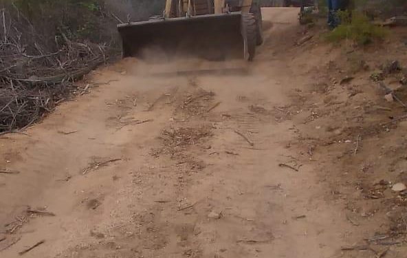 SERVICIOS PÚBLICOS DE LOS CABOS LLEVA ACCIONES DE LIMPIEZA EN CAMINOS VECINALES DE LA ZONA RURAL DEL MUNICIPIO