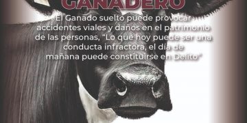 JUSTICIA CÍVICA ATIENDE REPORTES DE GANADO SUELTO EN LOS CABOS