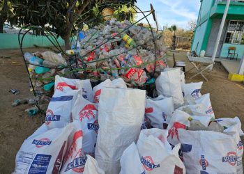 REALIZAN CAMPAÑA DE LIMPIEZA EN EL MARCO DEL DÍA MUNDIAL DEL AGUA EN LOS CABOS