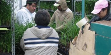 SNE INFORMA QUE NO HABRÁ RECHAZO EN SOLICITUDES ANTE MEDIDAS CONSULARES CANADIENSES