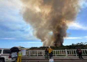 GOBIERNO DE LOS CABOS REITERA LLAMADO A LA CIUDADANÍA DE NO ACERCARSE A LA ZONA DEL INCENDIO DEL ESTERO DE SAN JOSÉ DEL CABO