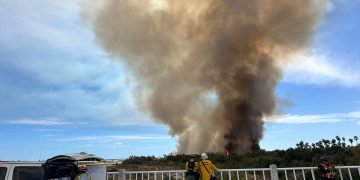 GOBIERNO DE LOS CABOS REITERA LLAMADO A LA CIUDADANÍA DE NO ACERCARSE A LA ZONA DEL INCENDIO DEL ESTERO DE SAN JOSÉ DEL CABO