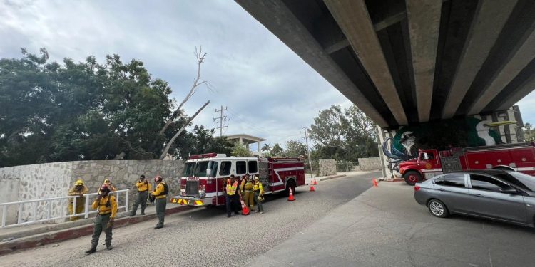 OPORTUNA RESPUESTA DE LOS CUERPOS DE EMERGENCIA EN EL INCENDIO EN LA RESERVA ECOLÓGICA ESTATAL ESTERO SJC: GOBIERNO DE LOS CABOS