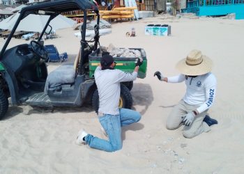 ZOFEMAT LOS CABOS SE ENCUENTRA TRABAJANDO DE MANERA ARDUA PARA GARANTIZAR QUE ESTÉN EN ÓPTIMAS CONDICIONES LAS PLAYAS ESTA SEMANA SANTA 2024