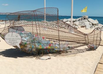 SERVICIOS PÚBLICOS MANTIENE LA LIMPIEZA EN PLAYAS DE LOS CABOS DURANTE LA SEMANA SANTA 2024