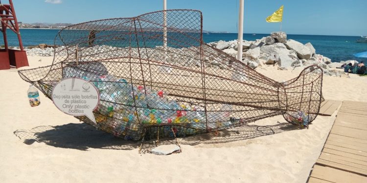 SERVICIOS PÚBLICOS MANTIENE LA LIMPIEZA EN PLAYAS DE LOS CABOS DURANTE LA SEMANA SANTA 2024