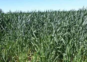 PARTICIPA BCS EN REUNIÓN NACIONAL DE  PROCURADORES FISCALES