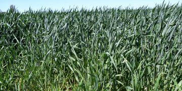 PARTICIPA BCS EN REUNIÓN NACIONAL DE  PROCURADORES FISCALES