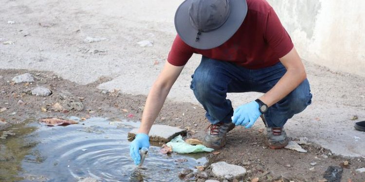 CONTINÚAN MUESTREOS EN SEGUIMIENTO  EPIDEMIOLÓGICO DE MELIOIDOSIS