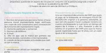 GOBIERNO DE LOS CABOS A TRAVÉS DE LA DIRECCIÓN MUNICIPAL DE VINCULACIÓN Y FOMENTO EMPRESARIAL TE INVITA A REGISTRAR Y PROTEGER TÚ MARCA ANTE EL INSTITUTO MEXICANO DE LA PROPIEDAD INDUSTRIAL.   