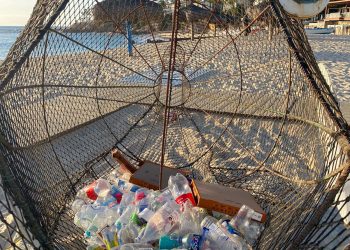 ZOFEMAT TIENE DISTRIBUIDOS 9 CONTENEDORES CON FORMA DE PEZ EN DIFERENTES PLAYAS PÚBLICAS DE LOS CABOS