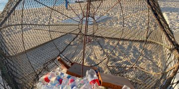 ZOFEMAT TIENE DISTRIBUIDOS 9 CONTENEDORES CON FORMA DE PEZ EN DIFERENTES PLAYAS PÚBLICAS DE LOS CABOS