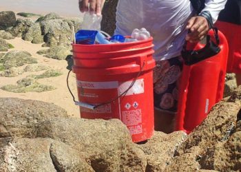 ZOFEMAT CONTINÚA IMPLEMENTANDO ACCIONES DE LIMPIEZA EN EL FONDO MARINO DE LOS CABOS