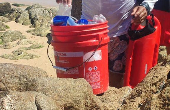 ZOFEMAT CONTINÚA IMPLEMENTANDO ACCIONES DE LIMPIEZA EN EL FONDO MARINO DE LOS CABOS