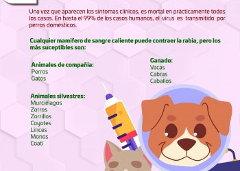 DIRECCIÓN MUNICIPAL DE SALUD EN LOS CABOS HACE UN LLAMADO A ESTAR ALERTA Y TOMAR MEDIDAS PREVENTIVAS ANTE LA ENFERMEDAD CONOCIDA COMO LA RABIA
