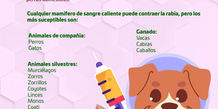 DIRECCIÓN MUNICIPAL DE SALUD EN LOS CABOS HACE UN LLAMADO A ESTAR ALERTA Y TOMAR MEDIDAS PREVENTIVAS ANTE LA ENFERMEDAD CONOCIDA COMO LA RABIA
