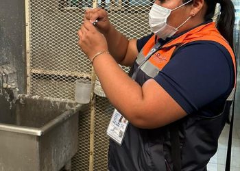 REGISTRAN EN BCS CURSOS DE ACOMPAÑAMIENTO DOCENTE DEL PRODEP AL 75%