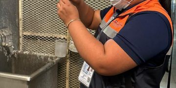 REGISTRAN EN BCS CURSOS DE ACOMPAÑAMIENTO DOCENTE DEL PRODEP AL 75%