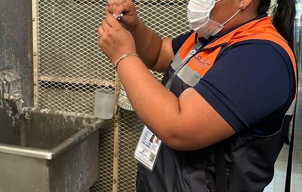 REGISTRAN EN BCS CURSOS DE ACOMPAÑAMIENTO DOCENTE DEL PRODEP AL 75%