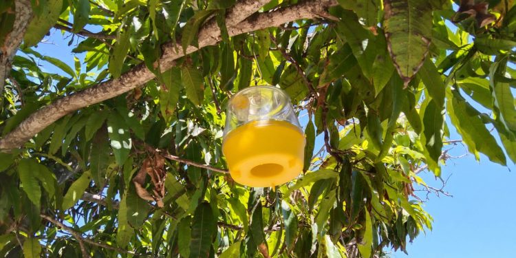 CAPACITAN A SERVIDORES PÚBLICOS PARA LA PREVENCIÓN DE DELITOS ELECTORALES EN BCS