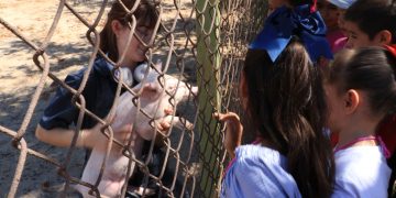 PROMUEVE UABCS EL CONOCIMIENTO DE LOS ANIMALES DE GRANJA MEDIANTE VISITAS GUIADAS A SU POSTA ZOOTÉCNICA