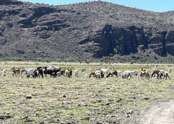 ABCdario Por Victor Octavio García