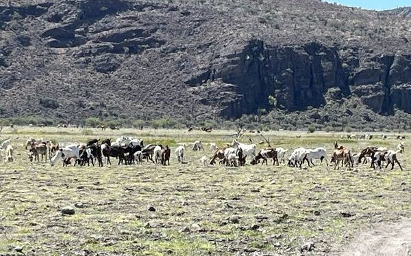 ABCdario Por Victor Octavio García