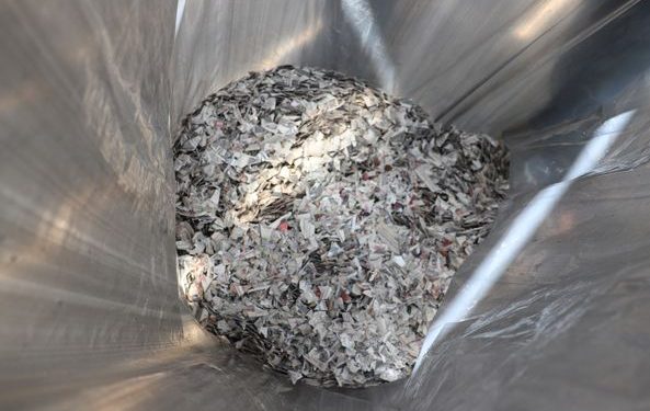 DESTRUYE INE BCS 5 MIL 972 FORMATOS DE CREDENCIAL PARA VOTAR CON FOTOGRAFÍA