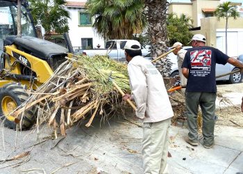 SE RECOLECTAN 48 TONELADAS DE CACHARROS POR DÍA EN CABO SAN LUCAS