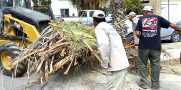 SE RECOLECTAN 48 TONELADAS DE CACHARROS POR DÍA EN CABO SAN LUCAS