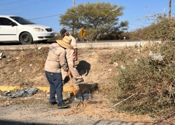 REALIZA SERVICIOS PÚBLICOS JORNADAS DE LIMPIEZA EN PARADEROS DE TRANSPORTE EN SJC