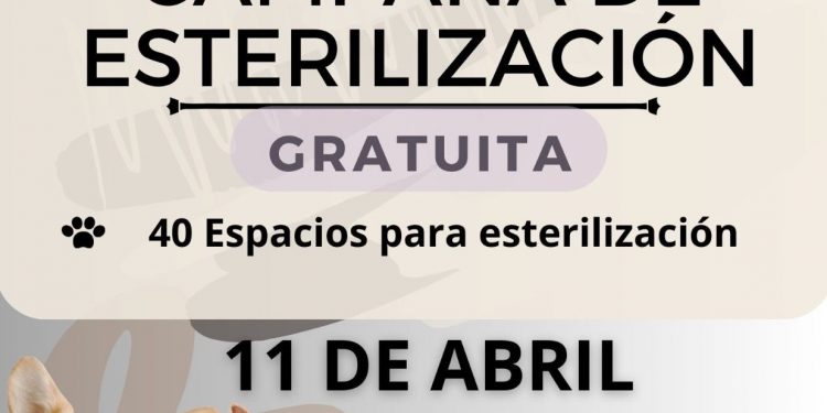INVITAN A CIUDADANÍA A PARTICIPAR EN LAS CAMPAÑAS DE ESTERILIZACIÓN CANINA Y FELINA EN EL MUNICIPIO DE LOS CABOS