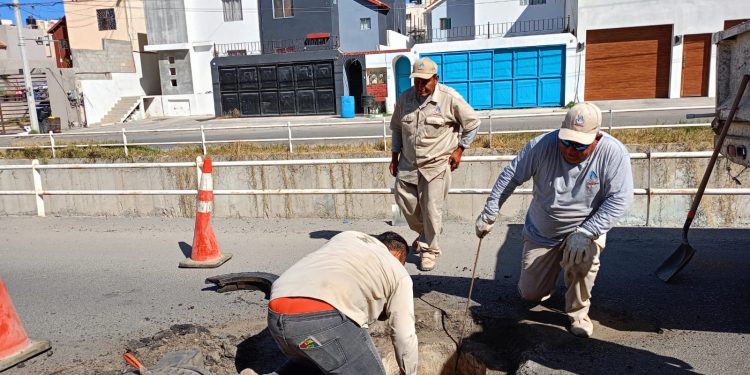 SERVICIOS PÚBLICOS DE LOS CABOS A INTENSIFICADO LAS ACCIONES DE LIMPIEZA PARA PREVENIR Y ELIMINAR LOS BASUREROS CLANDESTINOS