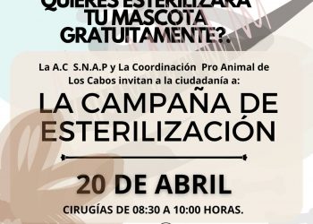 PROTECCIÓN ANIMAL Y LA A.C. CASA SHEILA OFRECERÁN CAMPAÑA MASIVA DE ESTERILIZACIÓN GRATUITA