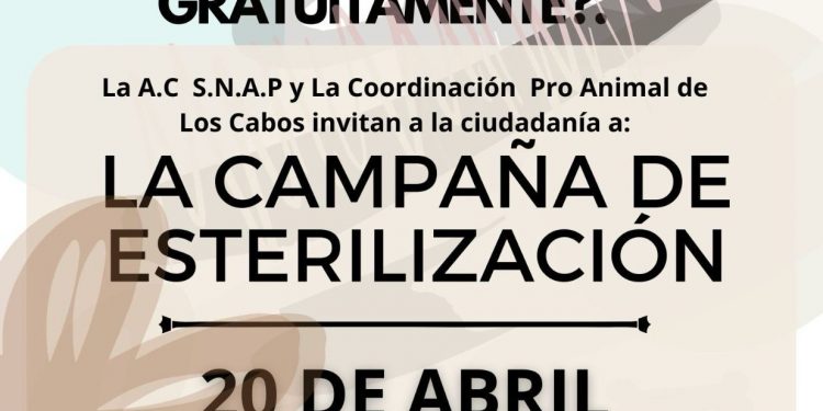 PROTECCIÓN ANIMAL Y LA A.C. CASA SHEILA OFRECERÁN CAMPAÑA MASIVA DE ESTERILIZACIÓN GRATUITA