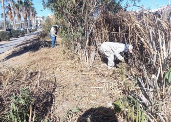SERVICIOS PÚBLICOS CONTINÚA CON TRABAJOS DE LEVANTAMIENTO DE BASURA Y RAMAS EN PANTEONES DE LOS CABOS