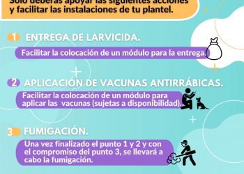 REALIZARÁN “ CAMPAÑA DE FUMIGACIÓN ESCOLAR “ EN ESCUELAS DE CABO SAN LUCAS
